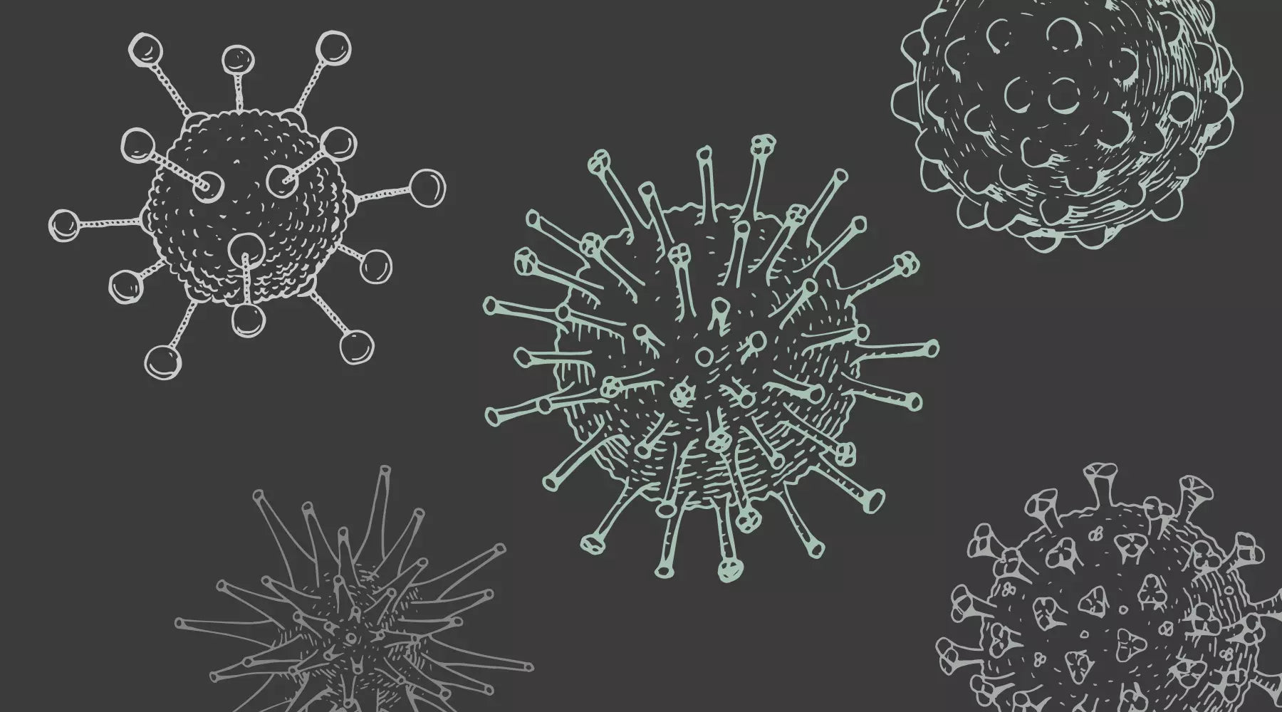 Illustrations of various viruses
