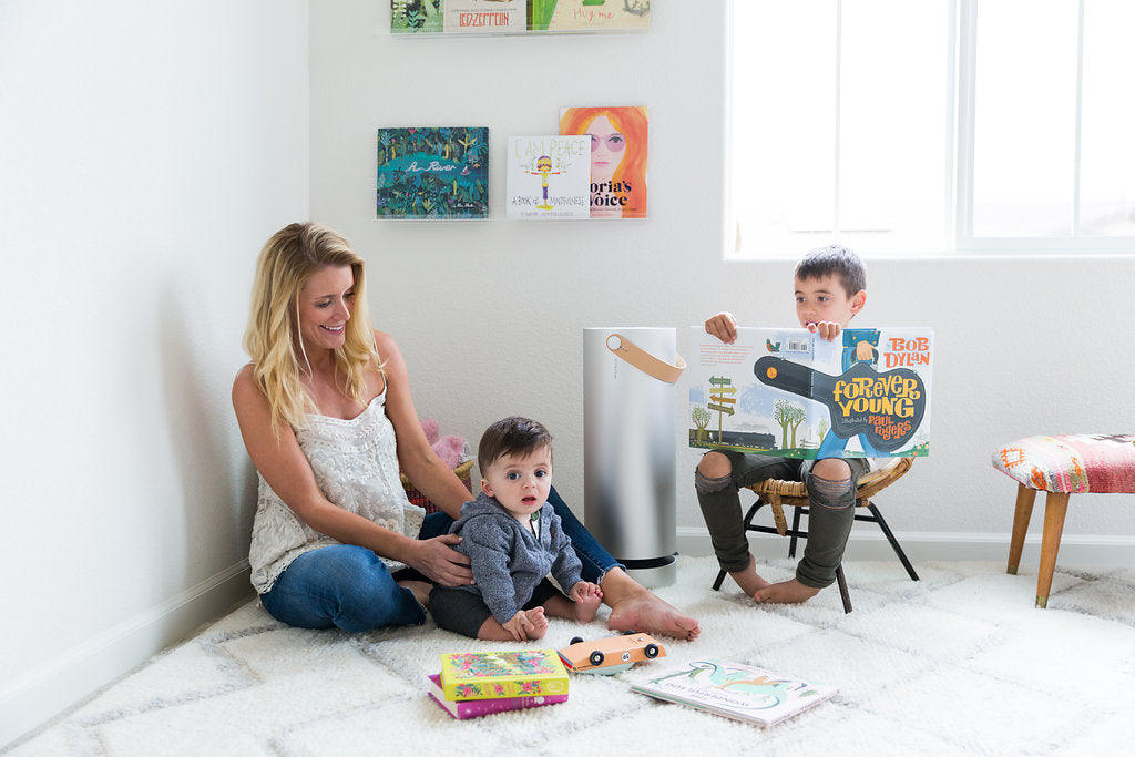 Buying Air Purifier - Shopping Checklist