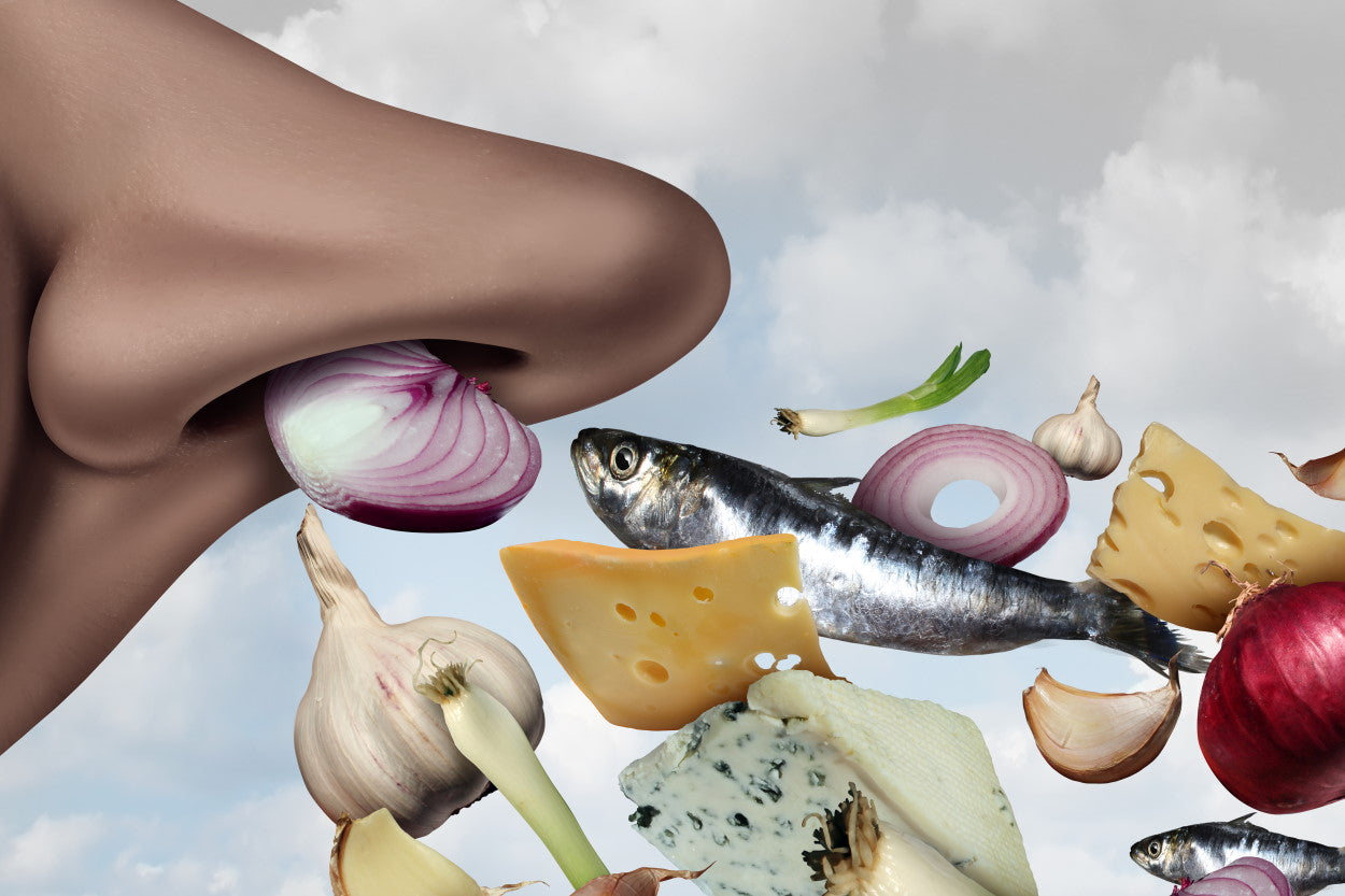 Illustrated nose inhaling onions, fish, cheese, and garlic