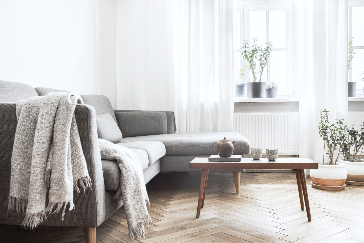 Air Purifiers and Indoor Air Quality: What to Look For