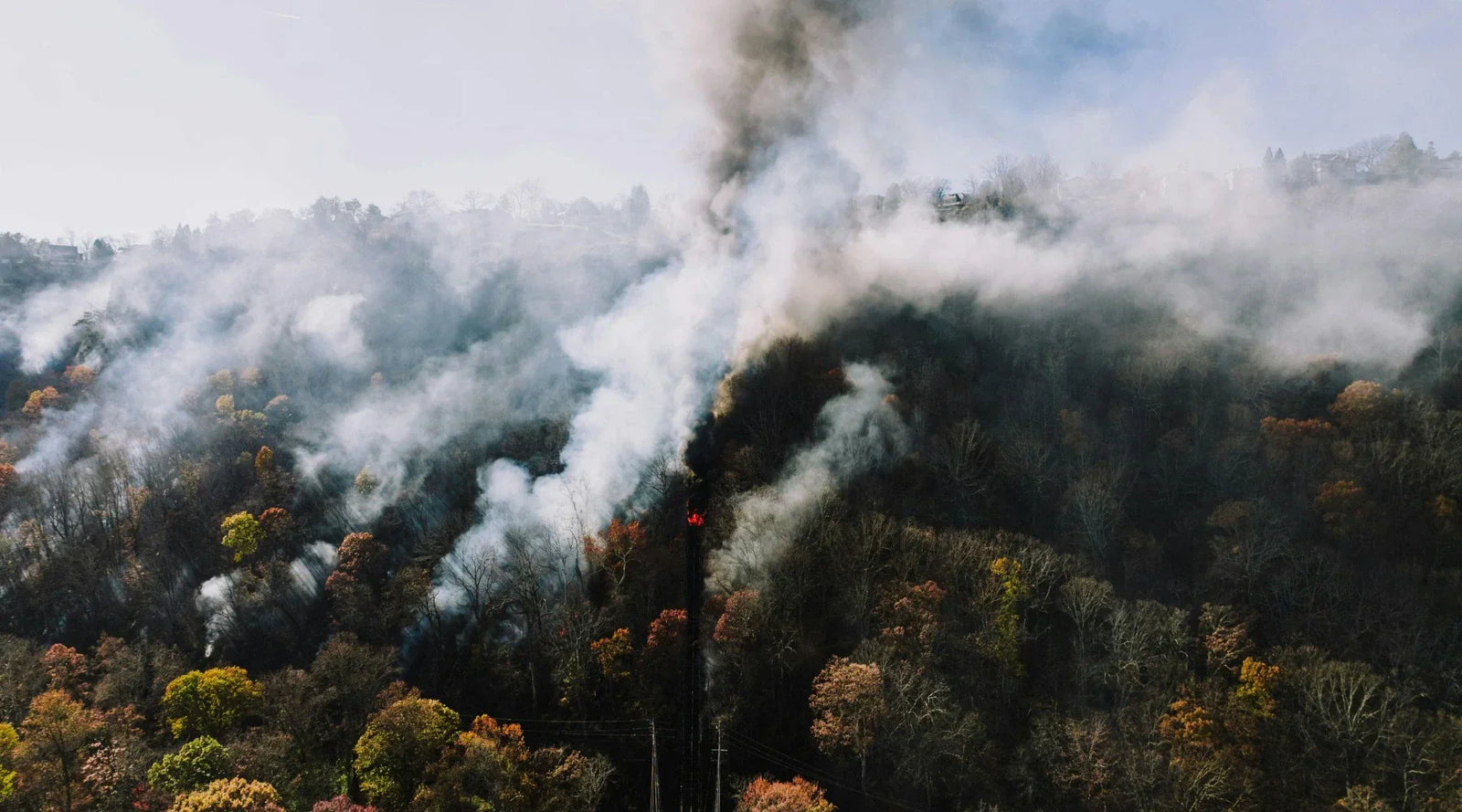 How Fast Can Wildfires Spread? All About Fire Spread Rate