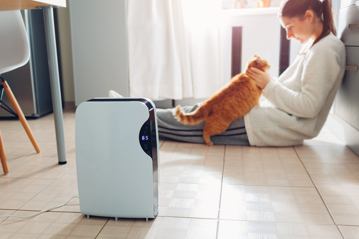 Do Ionizer Air Purifiers Remove Odors?