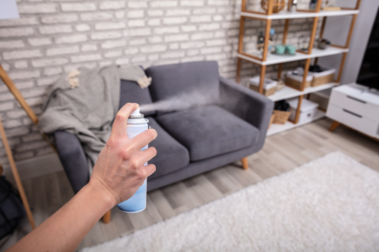 Can Ozone Generators Remove or Control Odors?