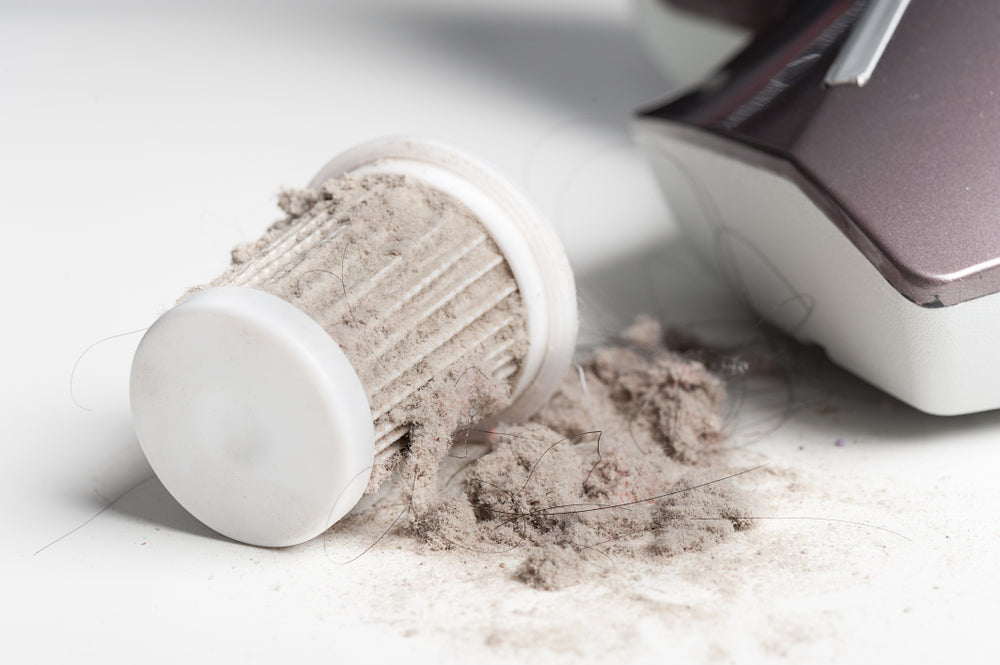 How to Clean a HEPA Filter and What You Should Know Beforehand Molekule