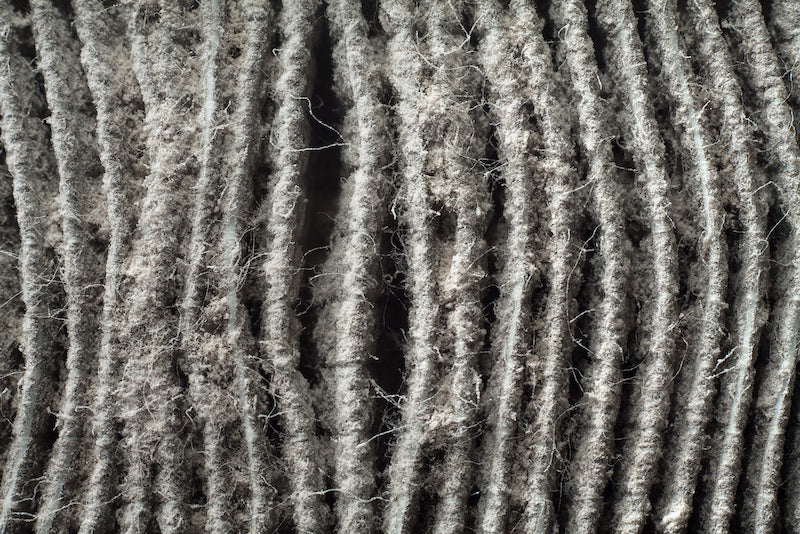 Close-up of a dirty air purifier filter