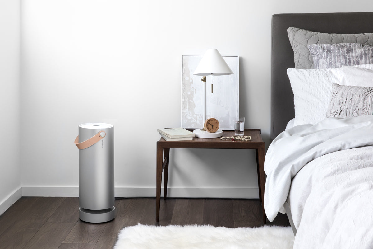 Where Should You Place Your Molekule Air Purifier?