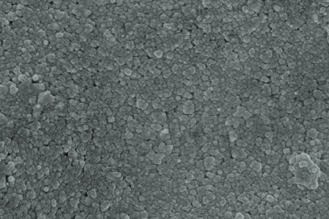 Destruction of Black mold spores have been oxidized and destroyed.