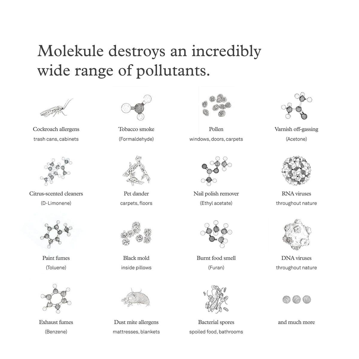 Molekule destroys an incredibly wide range of pollutants. Cockroach allergens. Tobacco smoke. Pollen. Varnish off-gassing. Citrus-scented cleaners. Pet dander. Nail polish remover. RNA viruses. Paint fumes. Black mold. Burnt food smell. DNA viruses. Exhaust fumes. Dust mite allergens. Bacterial spores. And much more.