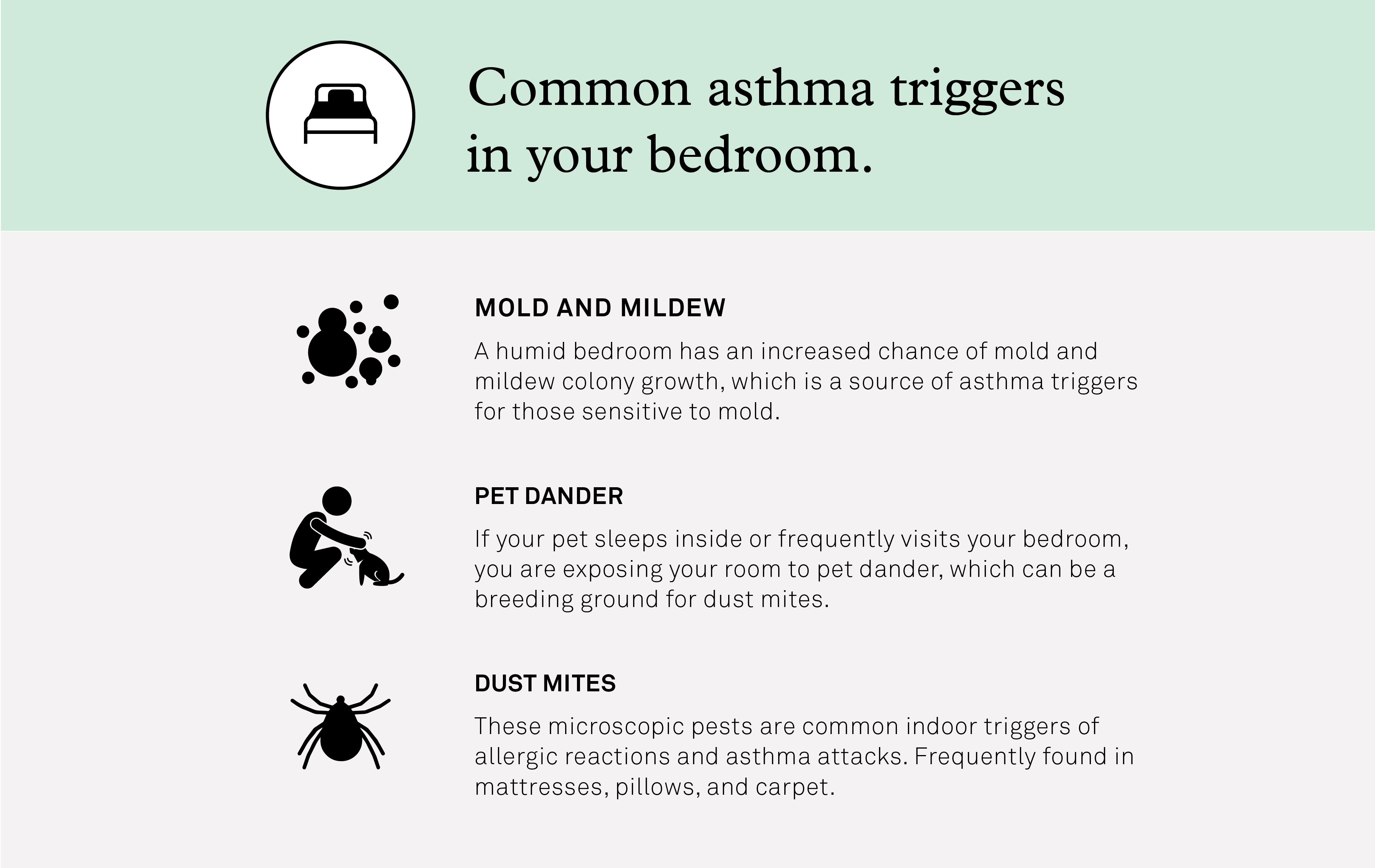 Asthma Triggers in Bedroom