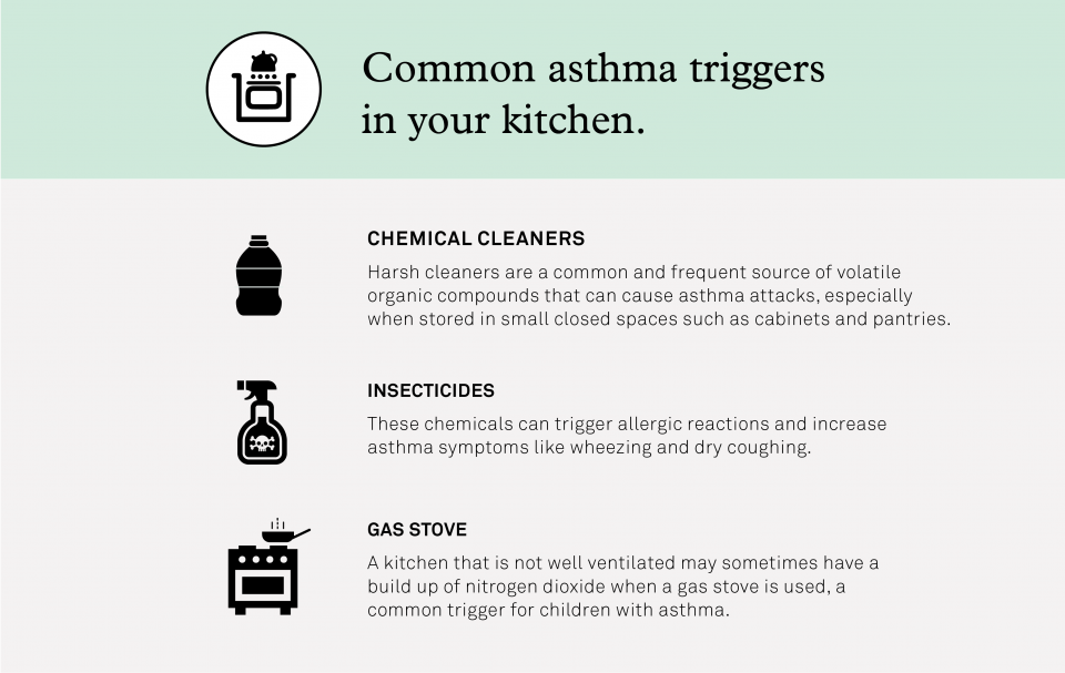 Guide to Asthma Triggers in Your Home From Attic to Living Room