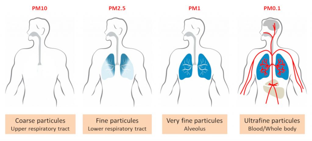 Air pollution particle size and effect on lungs