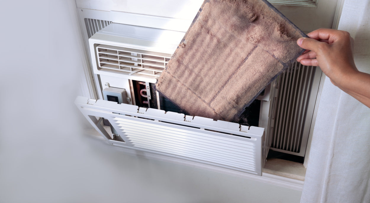 Mold in Air Conditioners How to Clean and Prevent Growth Molekule Blog