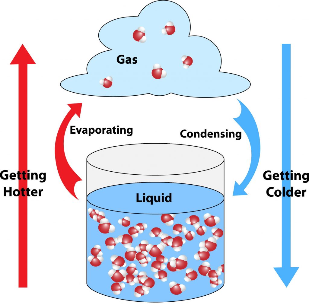 How does a fan work to cool you off? Molekule Blog