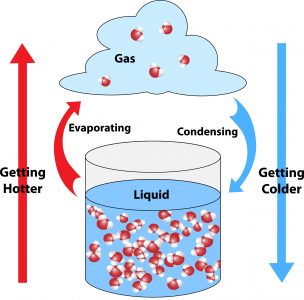 Heat effects of water evaporation and condensation