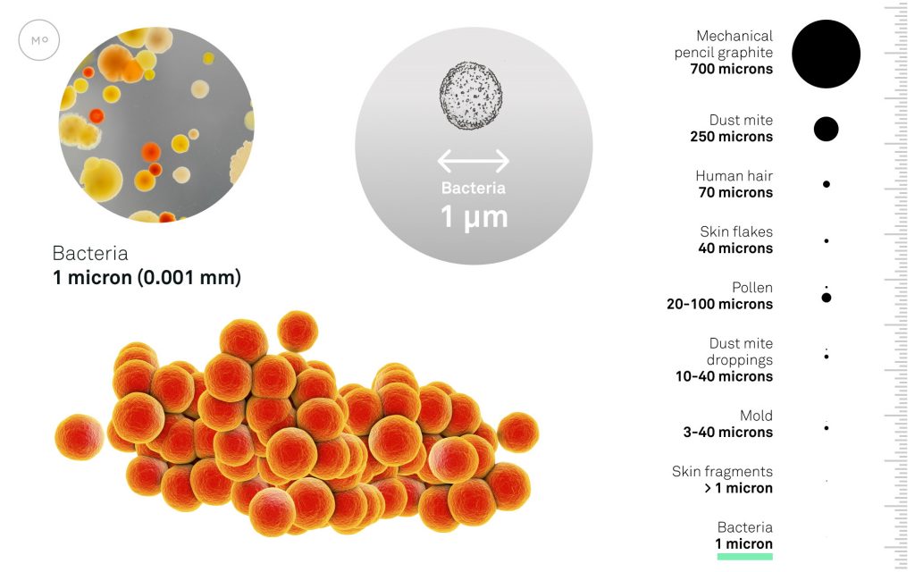 what-is-dust-made-of-dust-particle-sizes-composition-molekule-blog