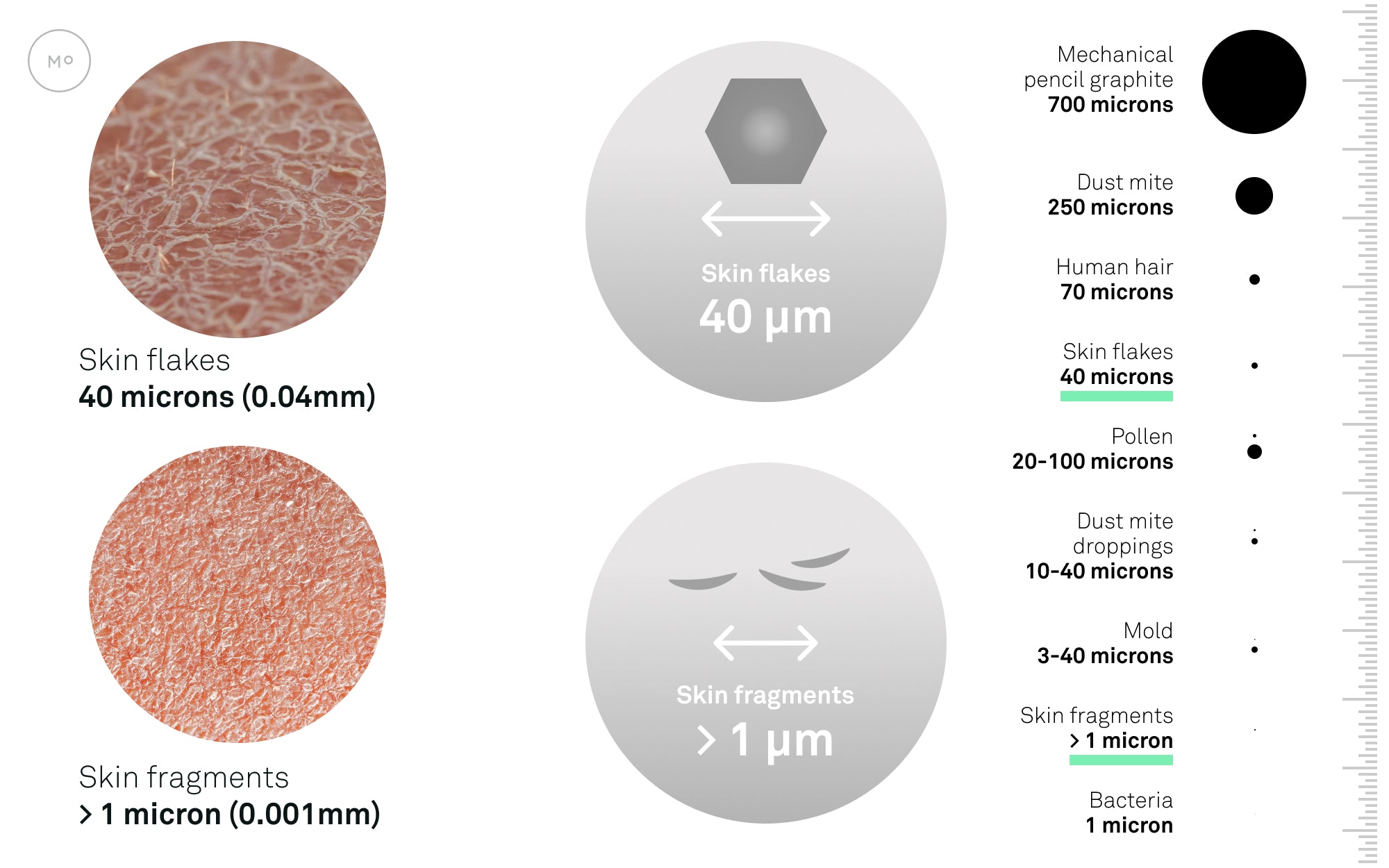 What is Dust Made of? Dust Particle Sizes & Composition - Molekule Blog