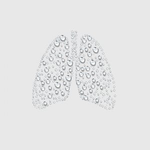Lungs made of water droplets