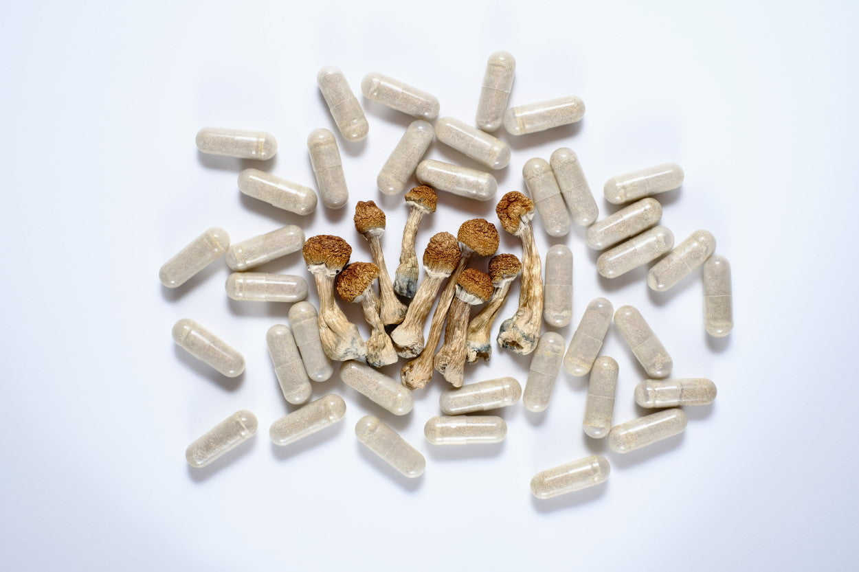 Psilocybin mushrooms and microdose capsules