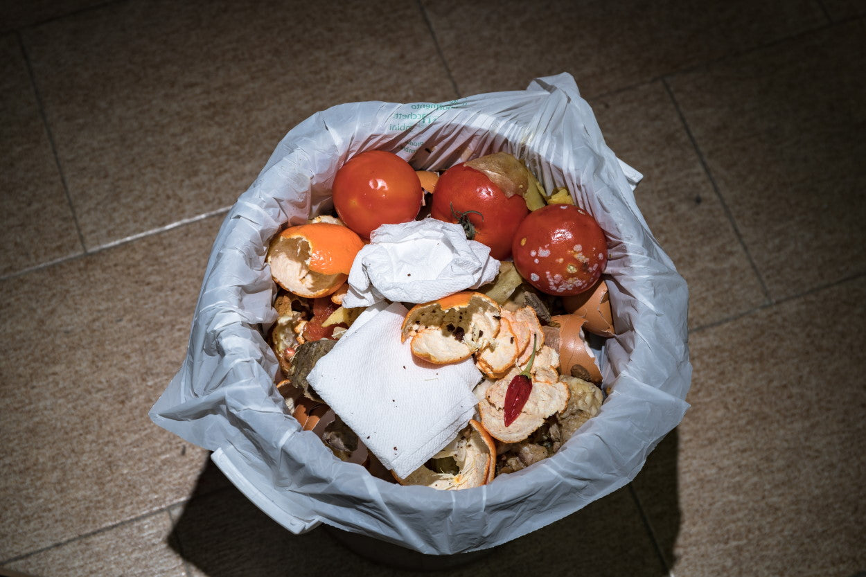 How to Get Rid of Cooking Smells in Your House Molekule Blog