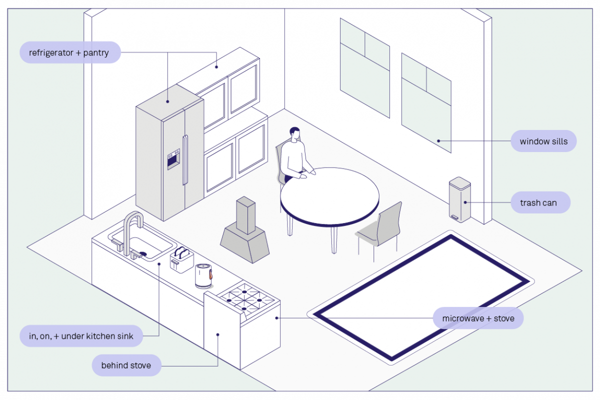 How to Check for Mold in Your House 11 Places to Look for Mold