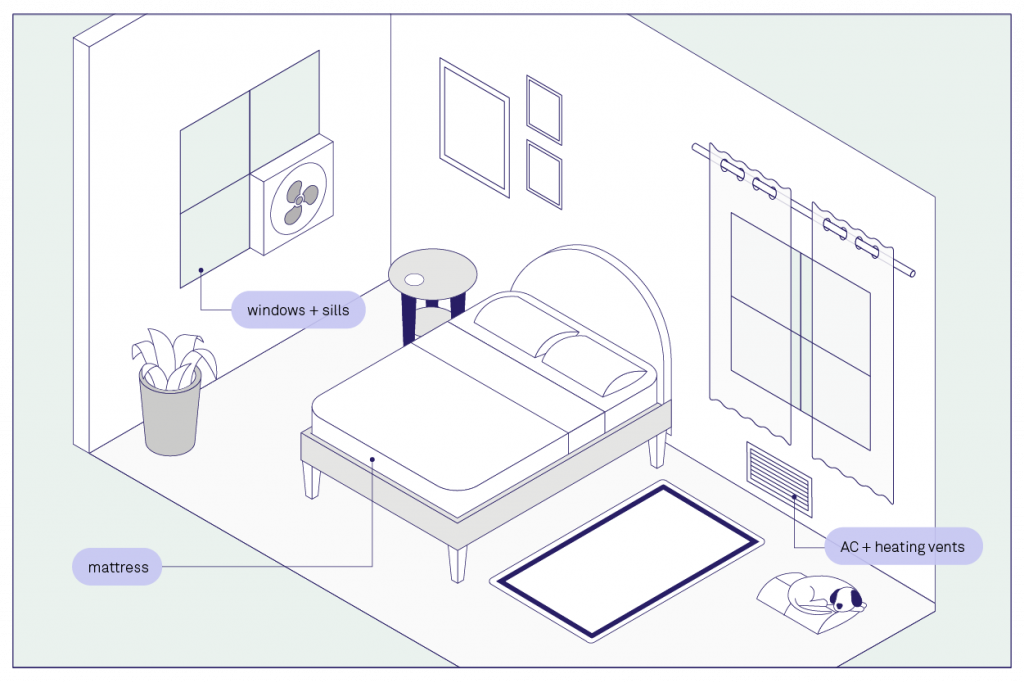 How to Check for Mold in Your House 11 Places to Look for Mold