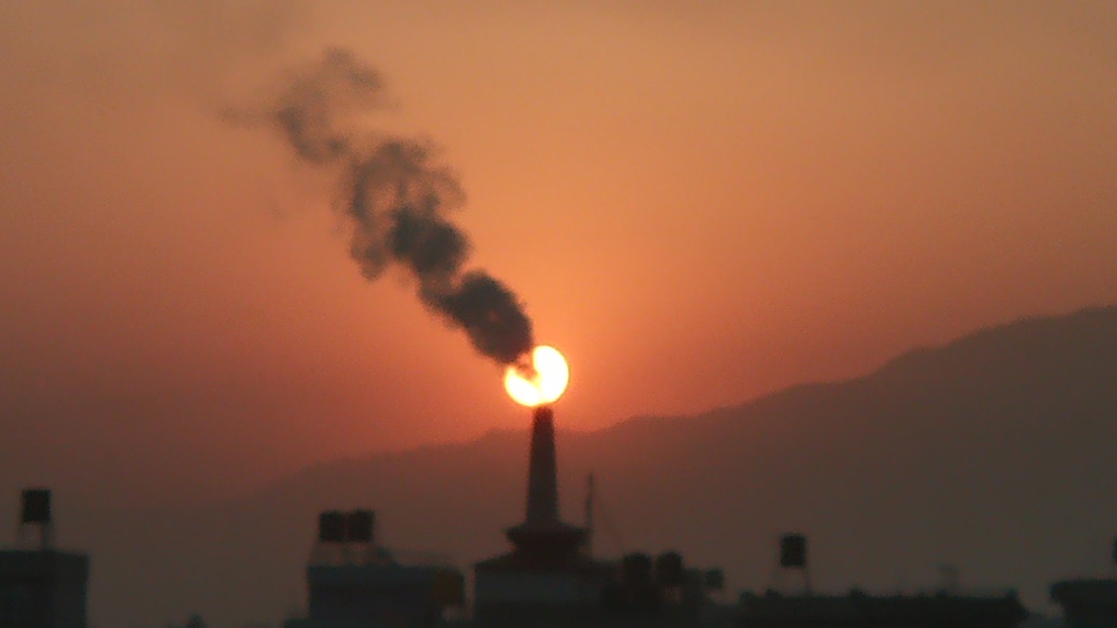 Why Molekule’s PECO technology matters in a polluted world