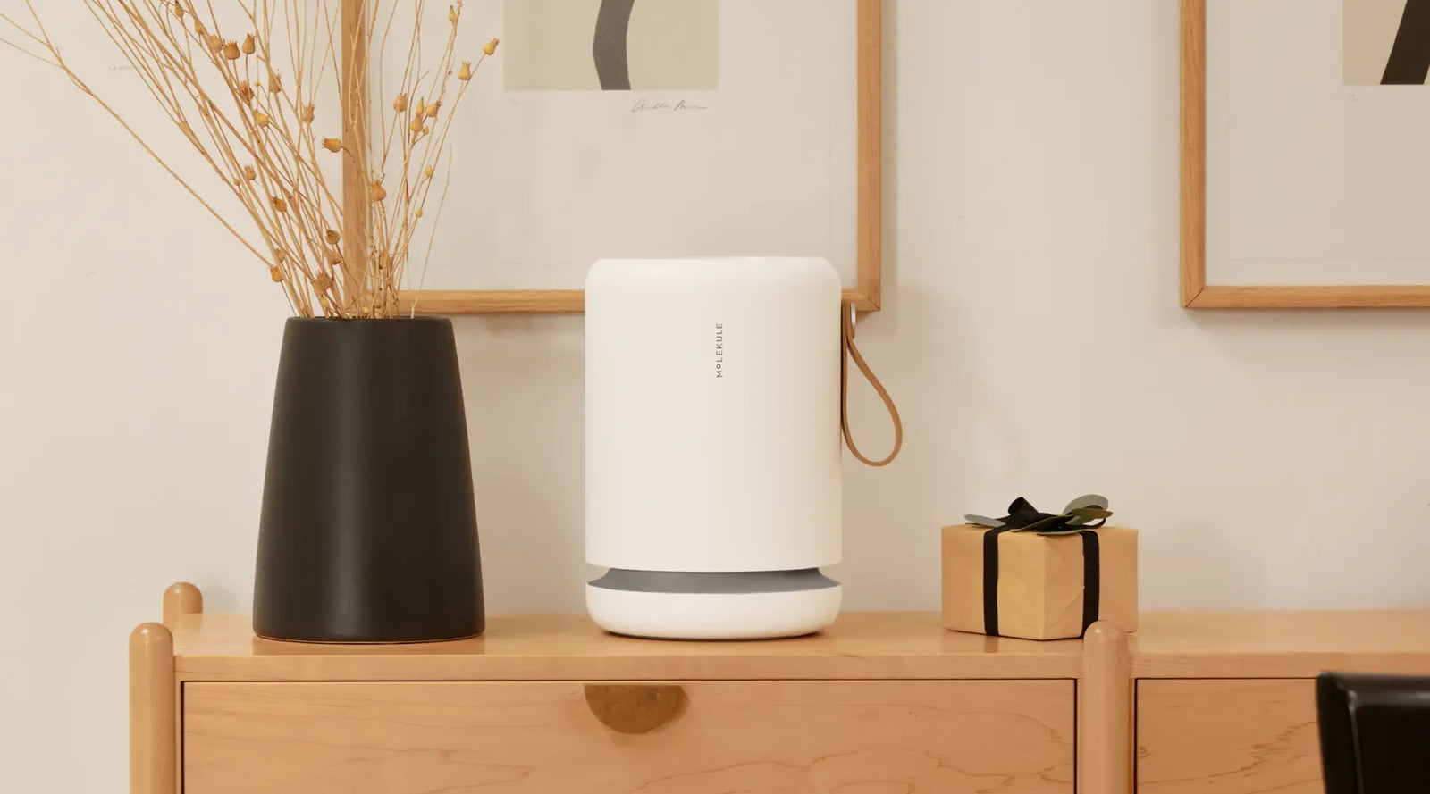 10 Reasons Air Purifiers Are the Perfect Gift Molekule