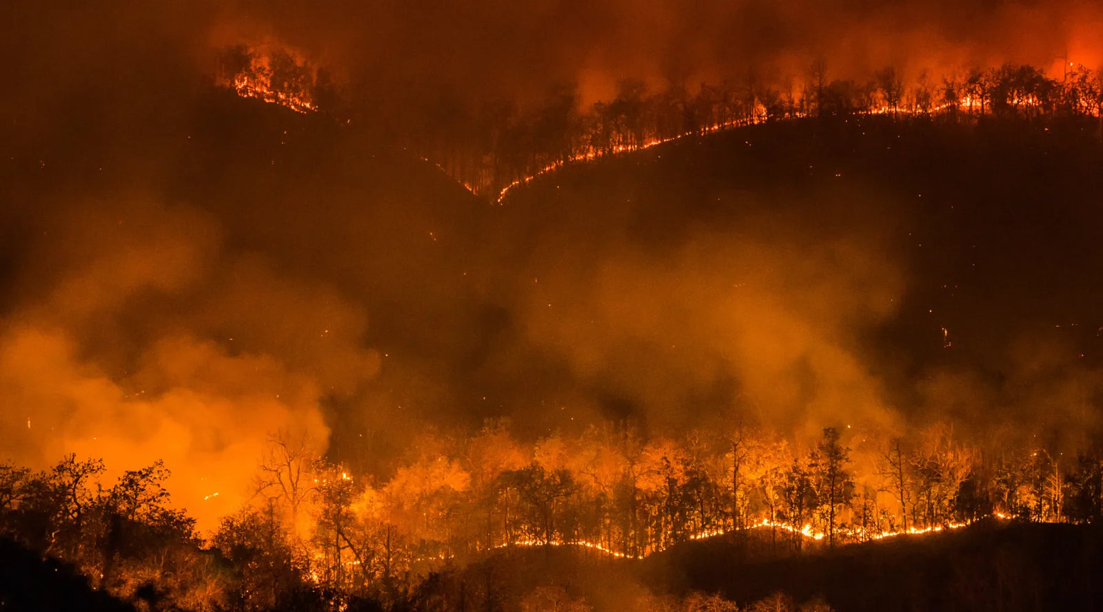 How Asthma and Allergy Sufferers Can Stay Safe from Wildfire Smoke