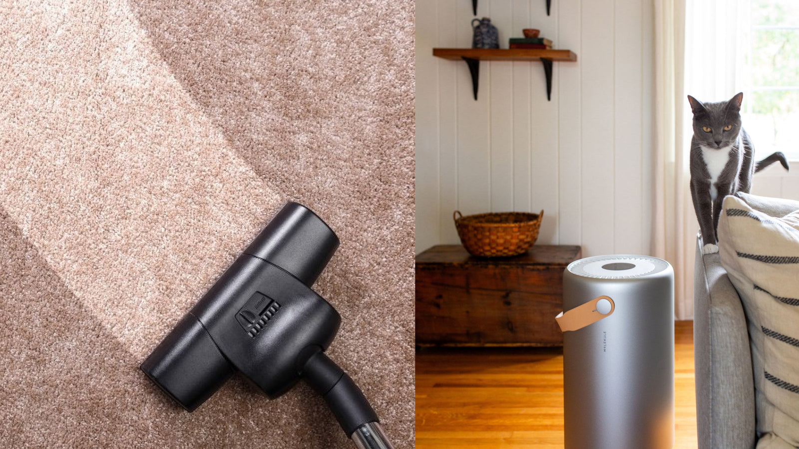 Air Purifier vs Vacuum Cleaner for Dust Control