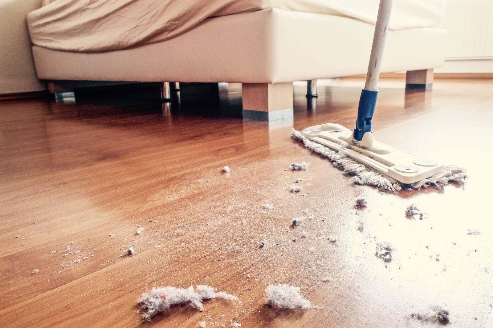 How to Dust Everything in Your Home