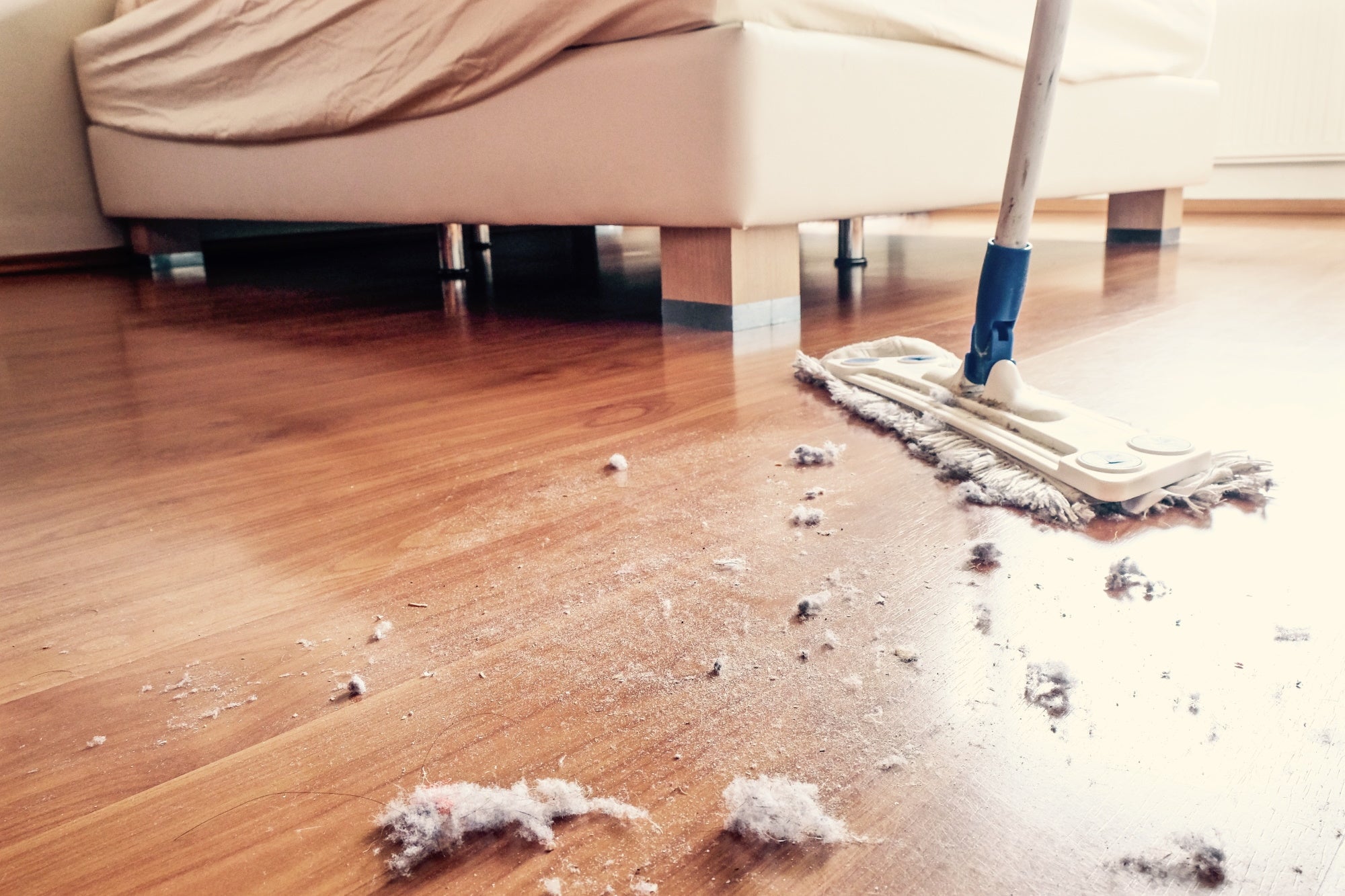 Large dust clumps being swept up by mop on hardwood floor