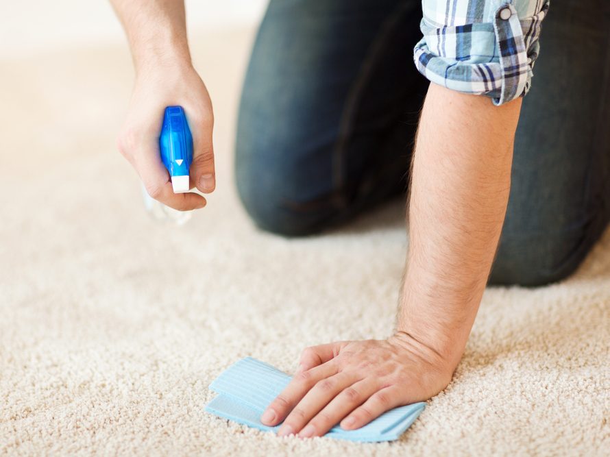 Woman trying to get mold out of carpet