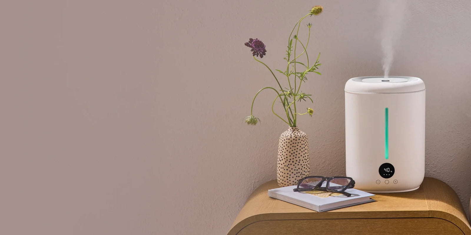 Warm vs. Cold Humidifier: Which Is Better?