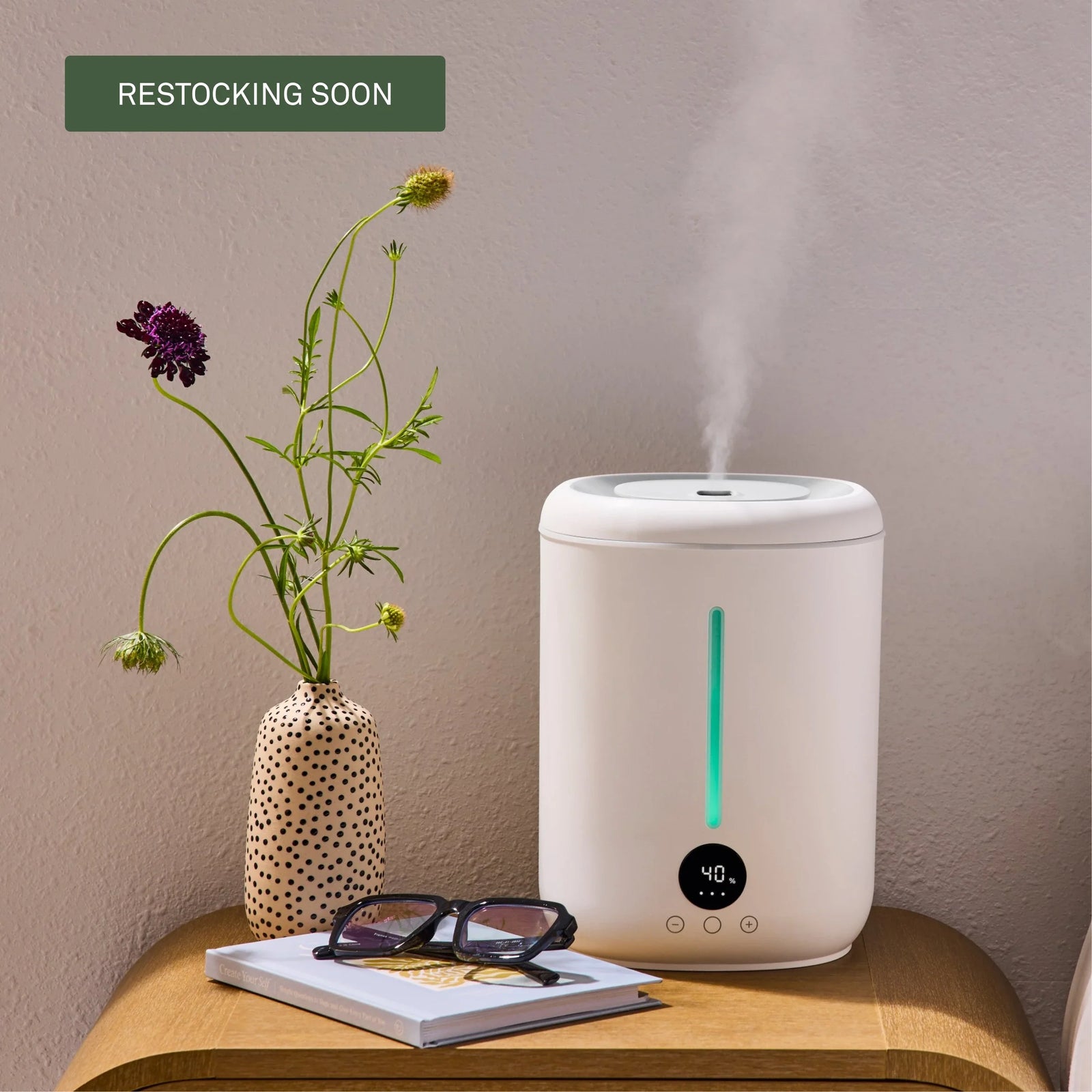 Ultrasonic vs Evaporative Humidifier: Which One Is Right for Your Home?