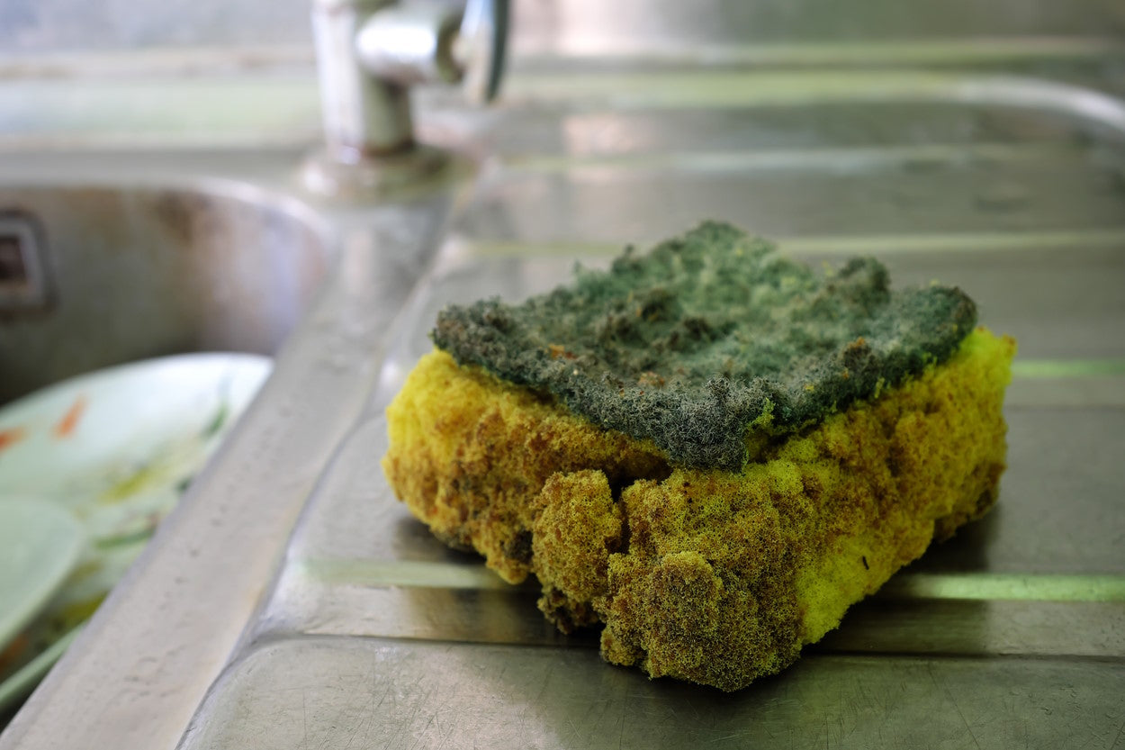 Old, smelly sponge near a kitchen sink