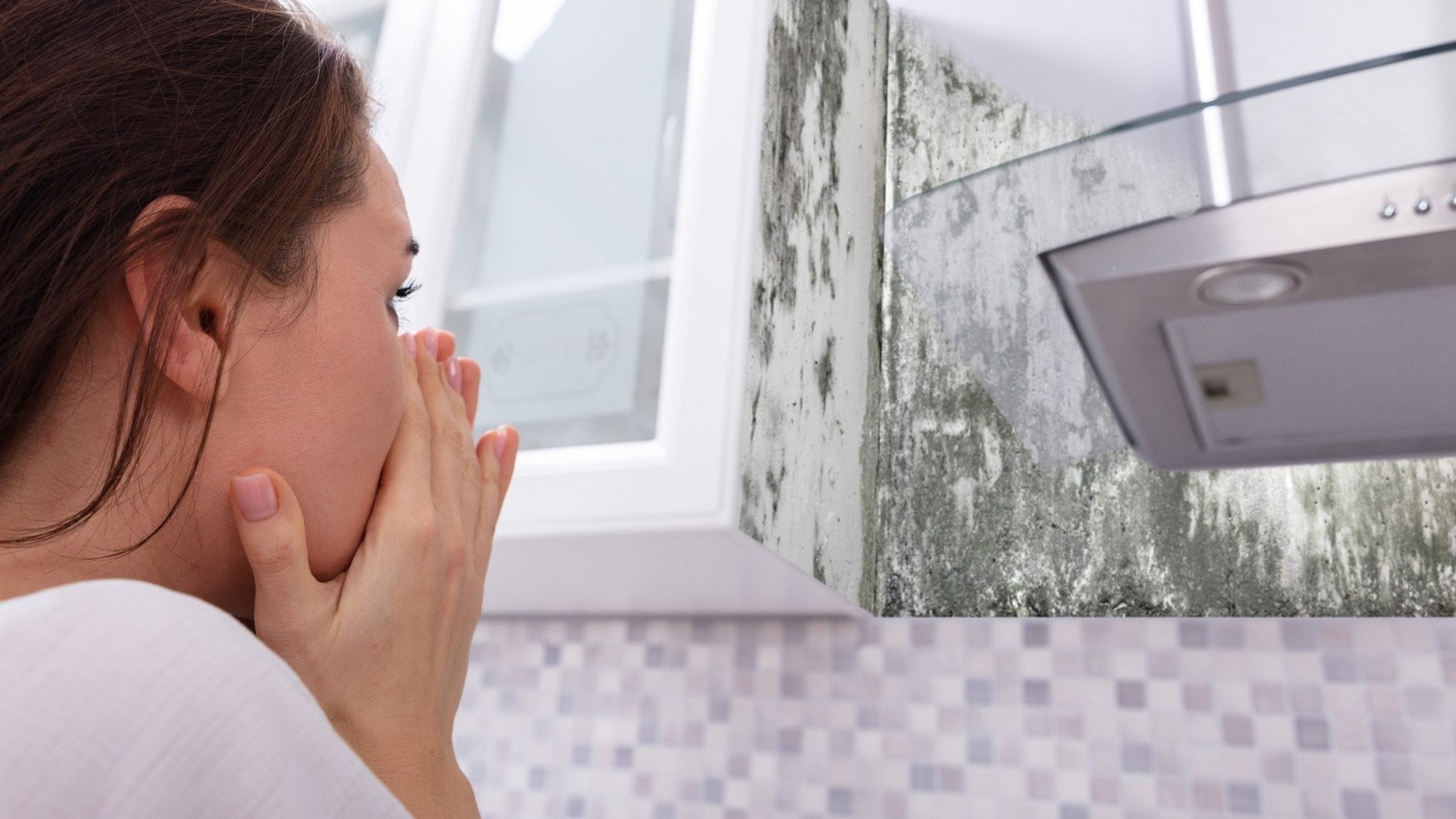 How to Clean Mold at Home