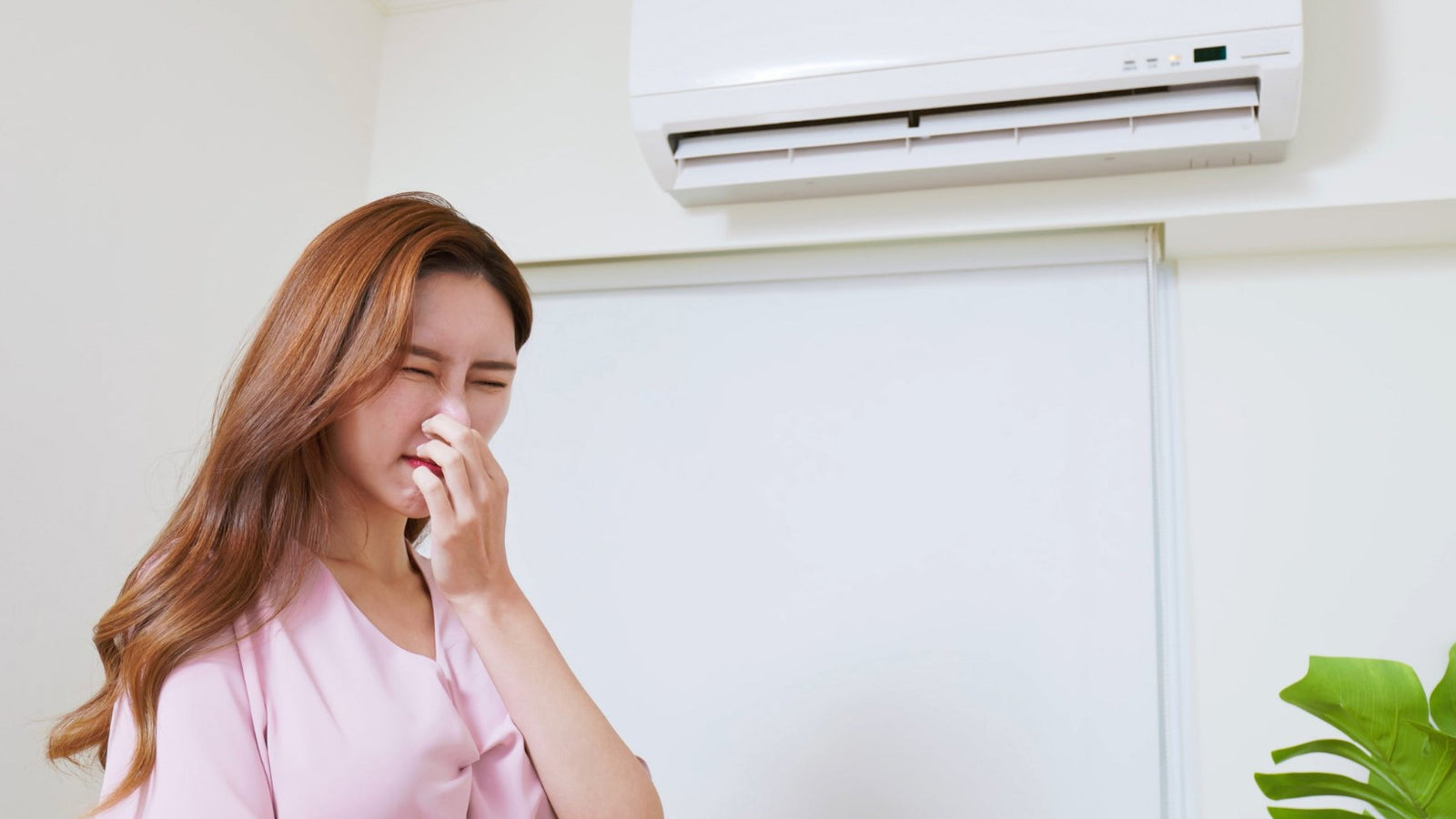 How to Remove Musty Mold Smells