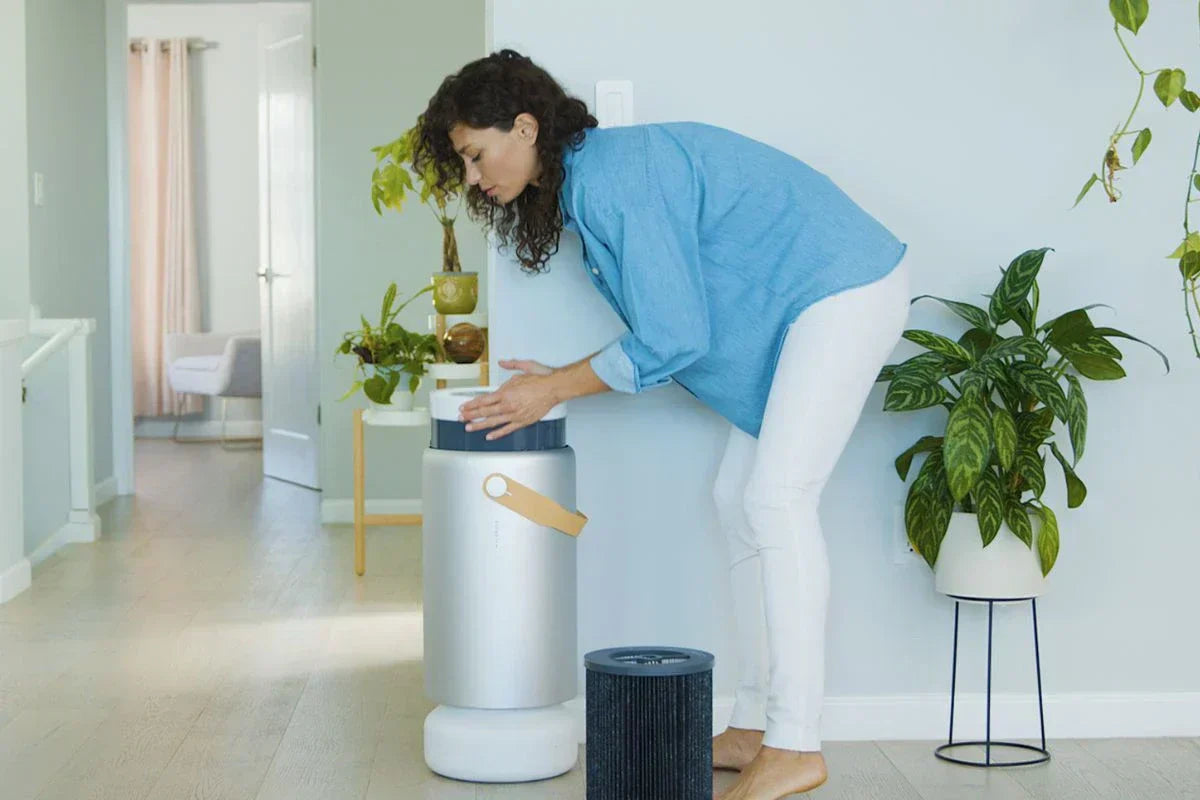 air purifier placement in room houseplants for air purification humidity control air quality monitor reading