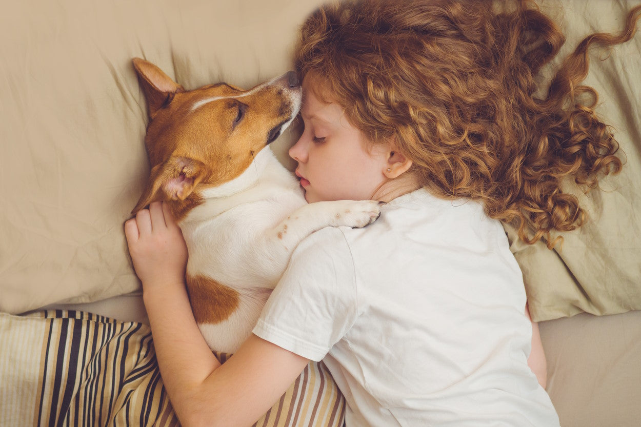 Young girl sleeping in bed with her dog