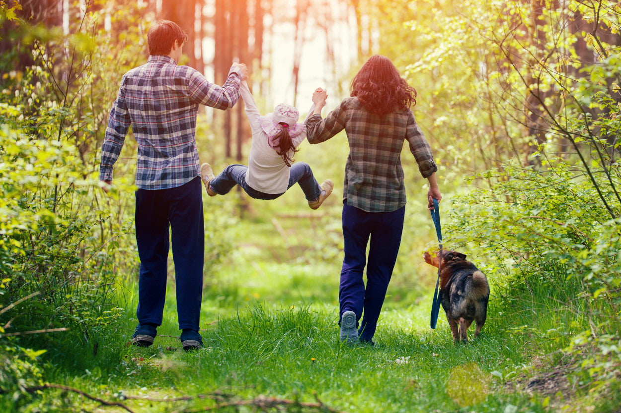 Parents, daughter, and dog walking in a forest together