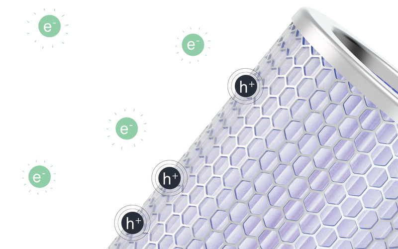PECO v. PCO Air Purifiers: How are they different? - Molekule