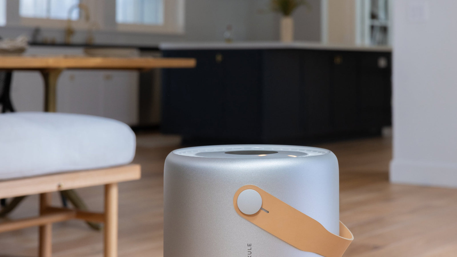 Do Air Purifiers Help With Mold?