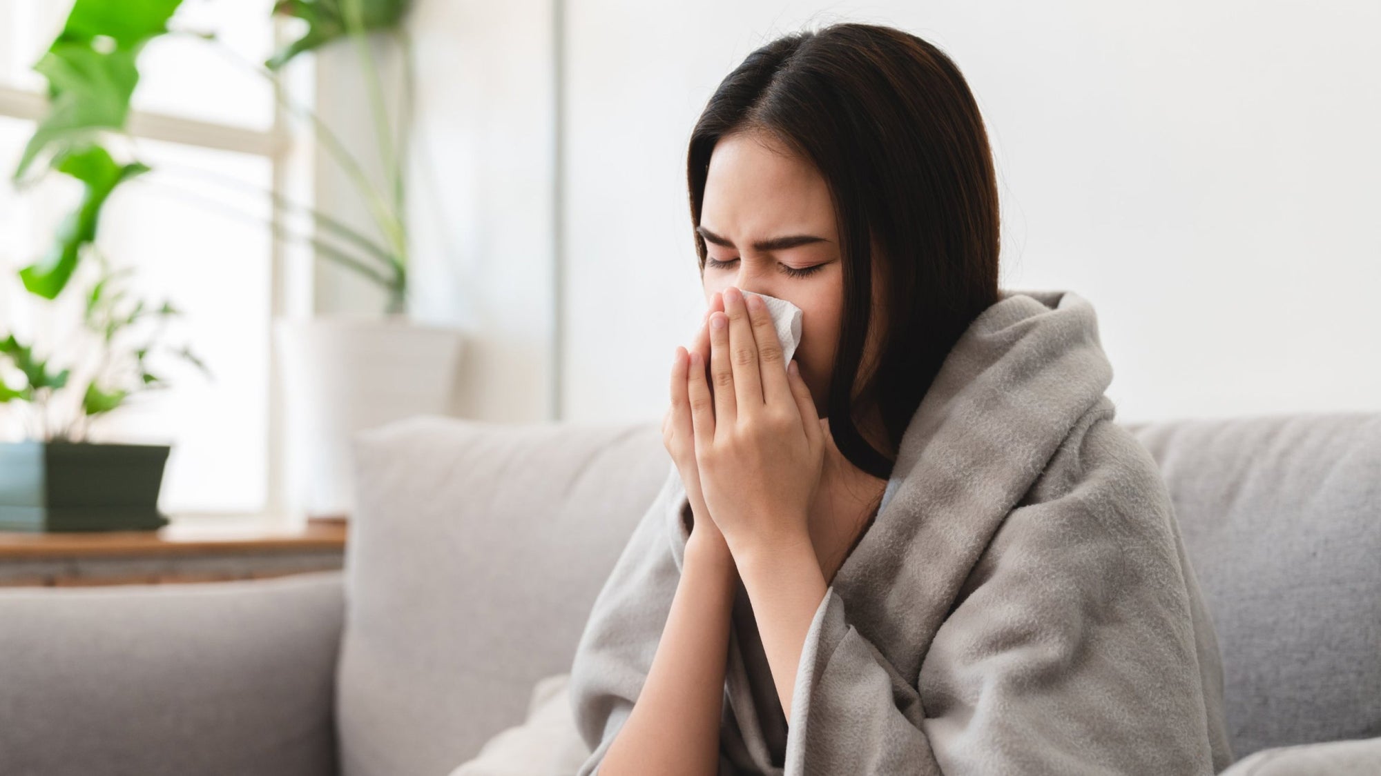 How to Combat Dust Exposure and Asthma Triggers