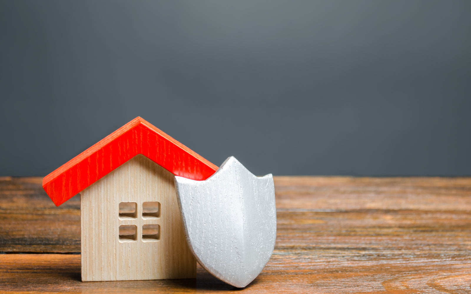 Miniature model of a house protected by toy shield