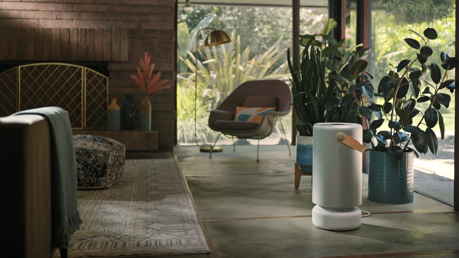 The Best Low Allergen Plants