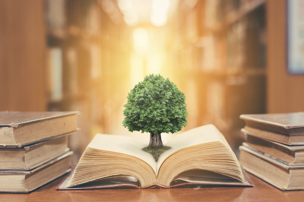 Green tree growing out of the pages of a book