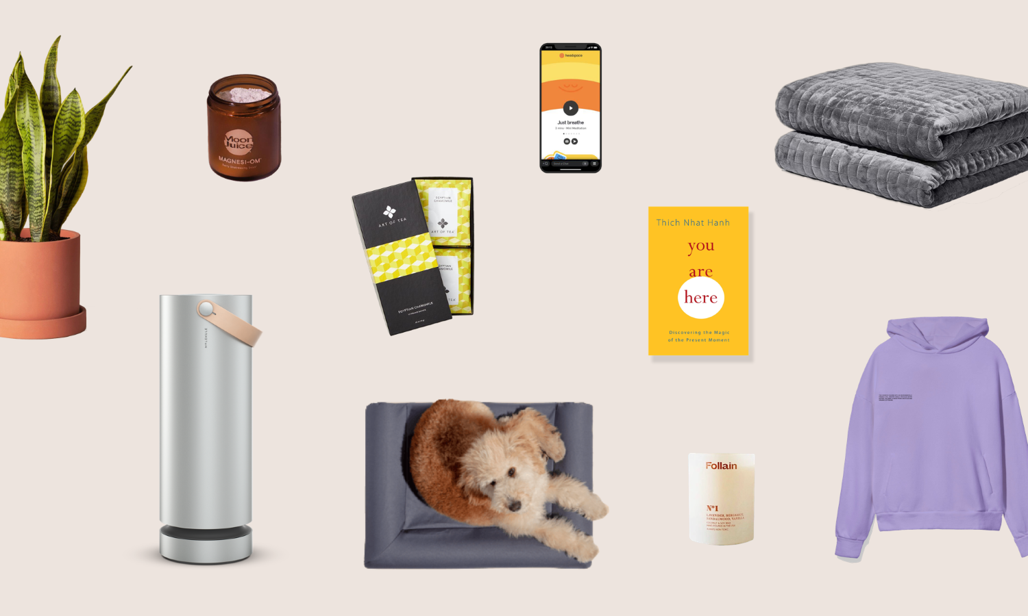 Compilation photo of potential gifts: potted plant, Molekule air purifier, sweatshirt, gray blanket, book, candle, pet bed