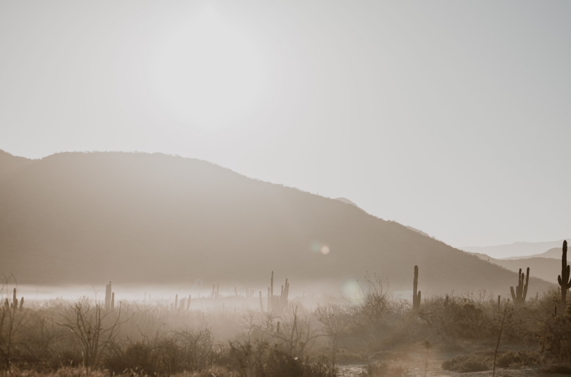 What Is The Saharan Air Layer?