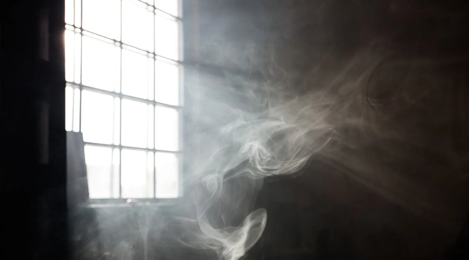 Do Air Purifiers Work for Smoke? Removing Wildfire Smoke