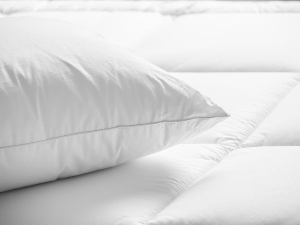 White pillow with dust mites